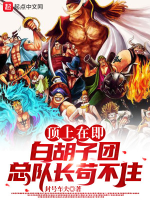 Băng Hải Tặc Whitebeard, Tổng Đoàn Trưởng Đừng Cẩu Nữa Poster