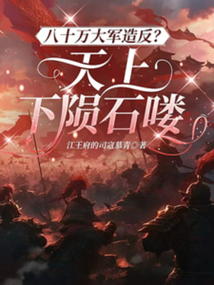 Bát Thập Vạn Đại Quân Tạo Phản? Thiên Thượng Hạ Thiên Thạch Đi! Poster
