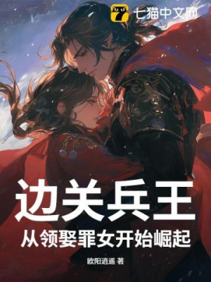 Biên Quan Binh Vương Poster