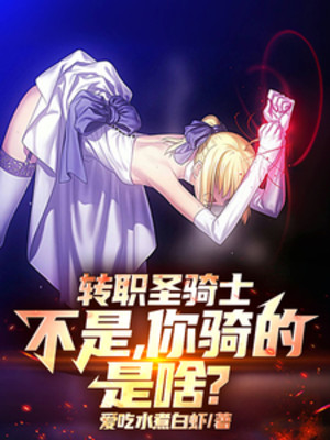 Chuyển Chức Thánh Kỵ Sĩ, Không Phải, Ngươi Kỵ Chính Là Cái Gì? Poster