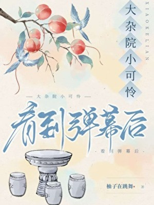 Đại Tạp Viện Tiểu Đáng Thương Nhìn Đến Làn Đạn Sau