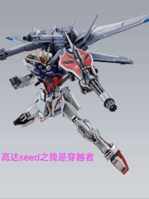 Gundam Seed Chi Ta Là Người Xuyên Việt Poster