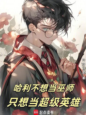 Harry Không Muốn Làm Phù Thủy, Chỉ Muốn Làm Siêu Anh Hùng Poster