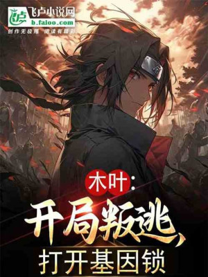 Konoha: Trọng Sinh Uchiha Ta Đây, Song Xuyên Hải Tặc Poster