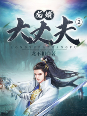 Long Tế Đại Trượng Phu 2 Poster