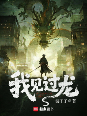 Ta Gặp Qua Long Poster