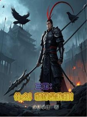 Tam Quốc: Cái Gì! Điêu Thuyền Là Tỷ Ta! Poster