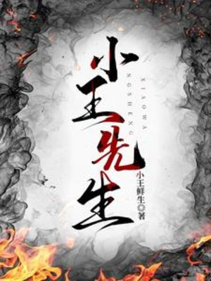Tiểu Vương Tiên Sinh Poster