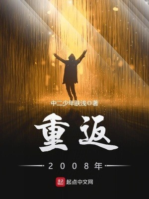 Trở Về Năm 2008 Poster