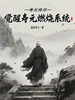 Tuổi Thọ Sắp Hết, Thức Tỉnh Tuổi Thọ Thiêu Đốt Hệ Thống Poster