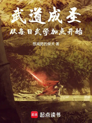 Võ Đạo Thành Thánh, Từ Mỗi Ngày Võ Học Thêm Điểm Bắt Đầu Poster